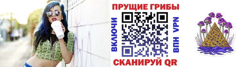 Псилоцибиновые грибы Cubensis  Крымск 