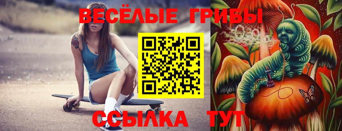 Крымск  Псилоцибиновые грибы мухоморы  Галлюциногенные грибы ЛСД  Вход с VPN 